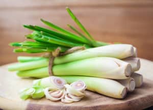 Lưu ý khi ăn sả: 5 sai lầm phổ biến gây hại cho sức khỏe