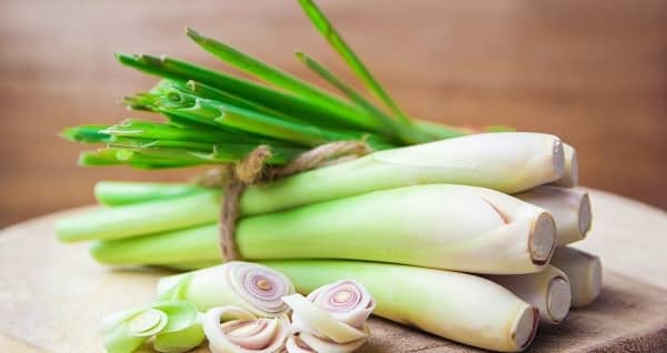 Lưu ý khi ăn sả: 5 sai lầm phổ biến gây hại cho sức khỏe