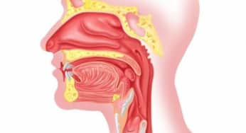Màu sắc của chất nhầy mũi họng có nghĩa gì không?