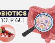 Probiotics là gì và có lợi ích như thế nào đối với sức khỏe đường ruột?