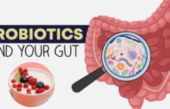 Probiotics là gì và có lợi ích như thế nào đối với sức khỏe đường ruột?