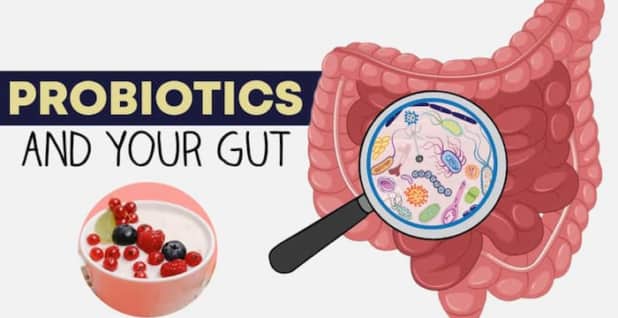 Probiotics là gì và có lợi ích như thế nào đối với sức khỏe đường ruột?