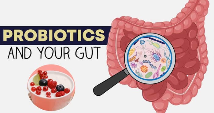 Probiotics là gì và có lợi ích như thế nào đối với sức khỏe đường ruột