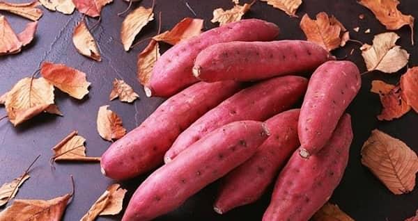 Người bệnh tim nên ăn tinh bột gì? 5 lựa chọn an toàn