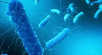 Nhiễm Clostridium Difficile, thủ phạm chính gây ra bệnh đường ruột