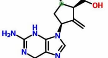 Nhóm thuốc đồng đẳng nucleoside nucleotide trong điều trị viêm gan