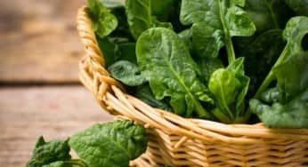 Những loại rau củ không tích trữ lâu trong tủ lạnh