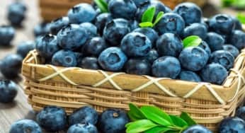 Những thực phẩm chống lão hóa da rất tốt