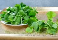 Những thực phẩm giúp giải nhiệt, làm mát cơ thể trong mùa hè