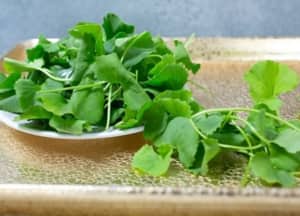 Những thực phẩm giúp giải nhiệt, làm mát cơ thể trong mùa hè