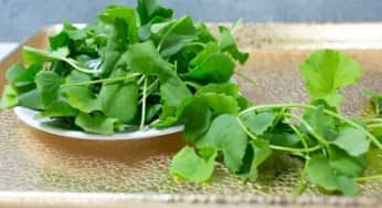Những thực phẩm giúp giải nhiệt, làm mát cơ thể trong mùa hè