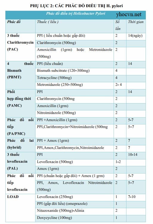 Lựa chọn phác đồ điều trị Helicobacter pylori Hp