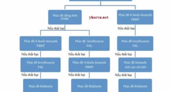 Lựa chọn phác đồ điều trị Helicobacter pylori Hp
