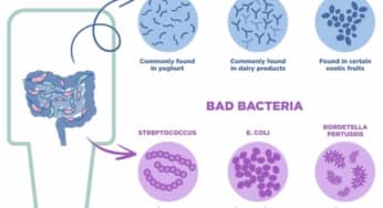 Probiotic (men vi sinh) và sức khỏe đường ruột những điều phải biết trước khi sử dụng