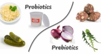 Men tiêu hóa, probiotics, vi sinh vật sống tốt cho hệ tiêu hóa tăng cường sức khỏe