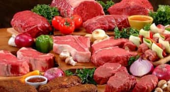 Một số thức ăn động vật thông dụng giàu Sắt