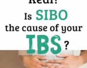 Giải mã mối liên hệ giữa IBS và SIBO: Chìa khóa để chấm dứt nỗi lo đại tràng