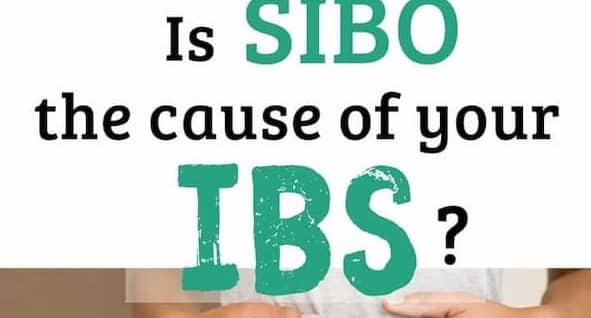 Giải mã mối liên hệ giữa IBS và SIBO: Chìa khóa để chấm dứt nỗi lo đại tràng