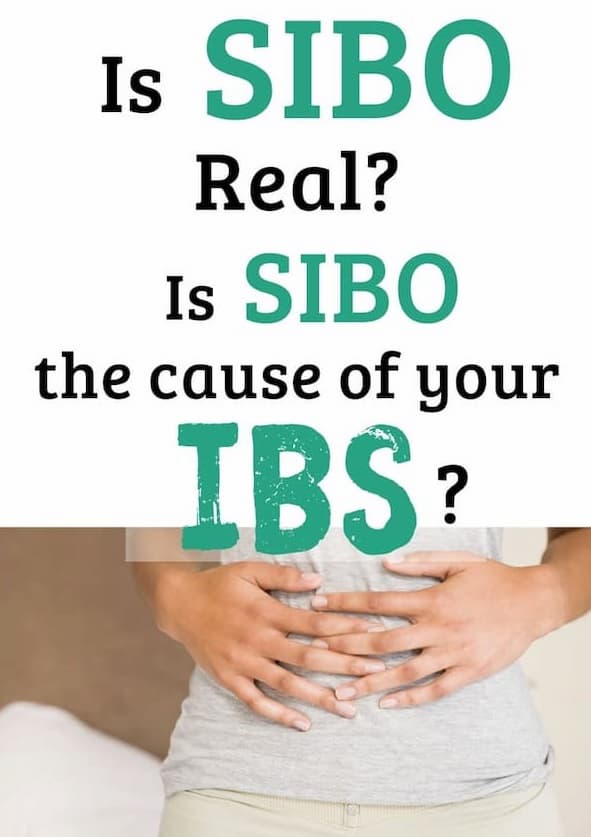 Giải mã mối liên hệ giữa IBS và SIBO: Chìa khóa để chấm dứt nỗi lo đại tràng