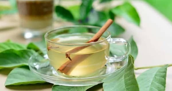 Sự thật về công dụng giảm cân của nước lá ổi khô