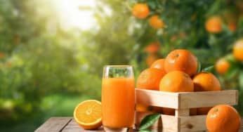 Thời điểm uống nước cam giúp thải độc gan, cải thiện hệ tiêu hóa
