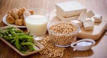 Tổ hợp các món ăn kỵ nhau gây ảnh hưởng đến hệ tiêu hoá