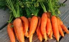 Top 12 thực phẩm gây suy giảm sinh lý quý ông cần tránh