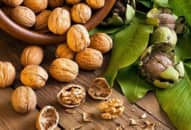 Top 4 loại hạt vàng giúp tăng cường trí nhớ, duy trì sự minh mẫn ở người cao tuổi