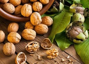 Top 4 loại hạt vàng giúp tăng cường trí nhớ, duy trì sự minh mẫn ở người cao tuổi