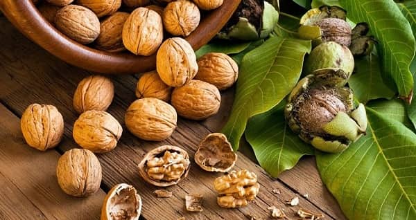 Top 4 loại hạt vàng giúp tăng cường trí nhớ, duy trì sự minh mẫn ở người cao tuổi
