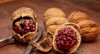 Top 5 loại hạt nhiều calo nên hạn chế ăn nhiều trong ngày Tết