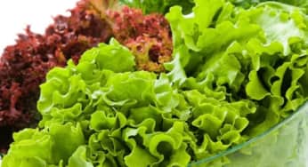 Top 5 loại rau giúp giảm mỡ bụng hiệu quả