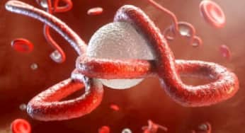 Vaccin Ebola mới có thể chống lại tất cả các loại virus lây nhiễm cho người