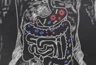 Vai trò của vi khuẩn đường ruột đối với sức khỏe