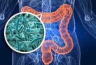Vi khuẩn hệ vi sinh vật đường ruột: gây nhiễm trùng, tiêu chảy