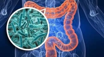 Vi khuẩn hệ vi sinh vật đường ruột: gây nhiễm trùng, tiêu chảy
