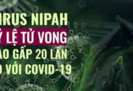 <strong>Lo ngại virus Nipah có thể gây ra một đại dịch trên toàn cầu</strong>