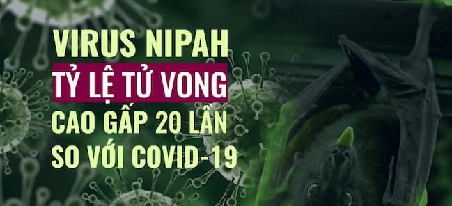 Lo ngại virus Nipah có thể gây ra một đại dịch trên toàn cầu