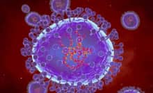 Virus viêm phổi HMPV gây nguy hiểm như nào?