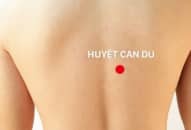 Xoa bóp bấm huyệt hỗ trợ điều trị viêm túi mật