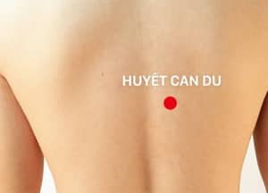 Xoa bóp bấm huyệt hỗ trợ điều trị viêm túi mật