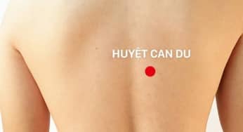 Xoa bóp bấm huyệt hỗ trợ điều trị viêm túi mật