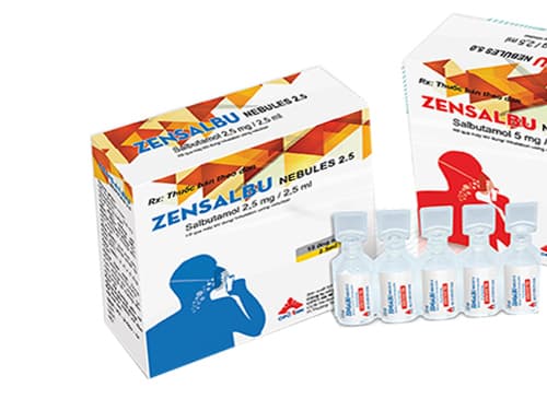 Zensalbu nebules 2.5, thuốc giảm cơn co tử cung chống đẻ non
